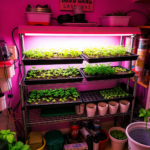 grow rack