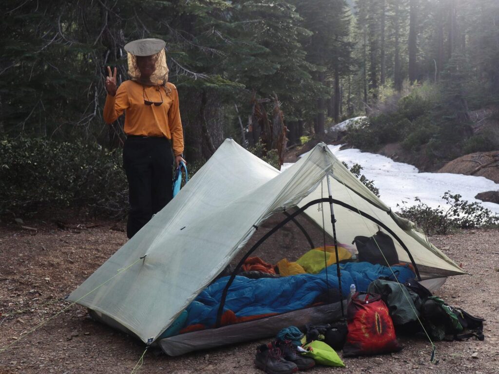 mosquito swarm at forest campsite