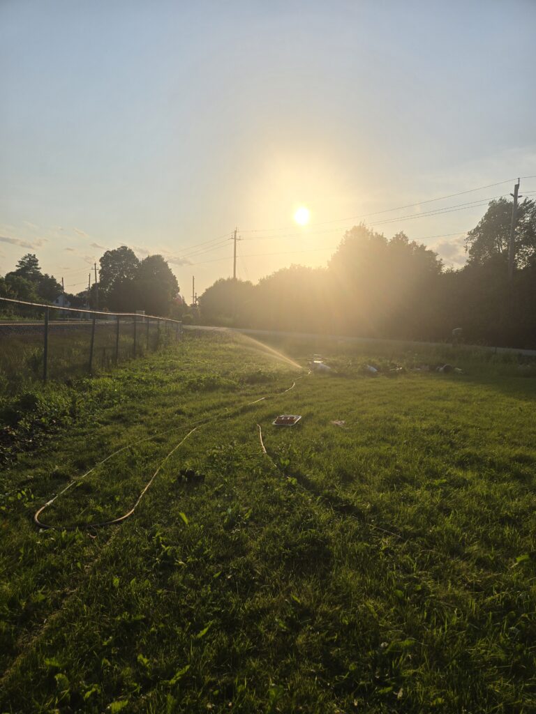 Sun setting on the garden